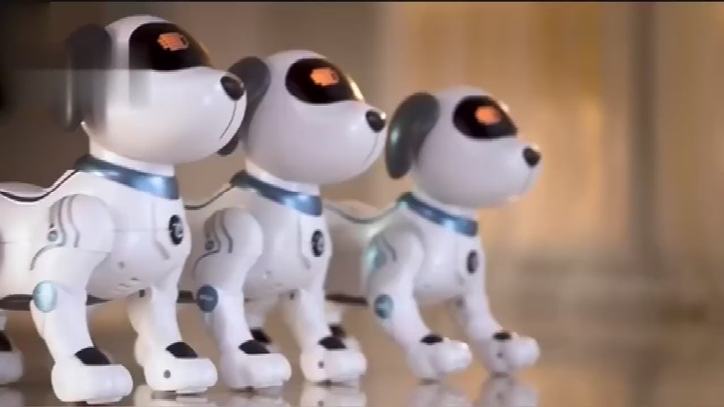 Interactive Remote-Controlled Robotic Pet